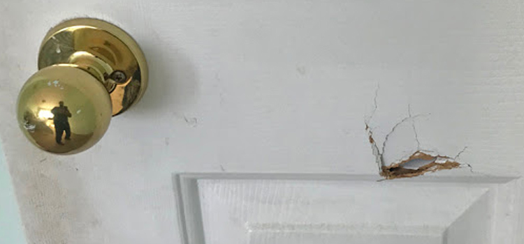 interior door hole repair Susanville