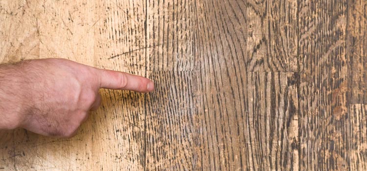 Wood Door Scratch Repair in Susanville
